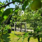 Kolonijna Park 펜션 *