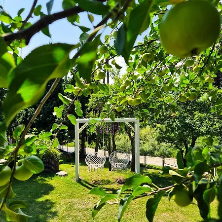 Kolonijna Park 度假居 *