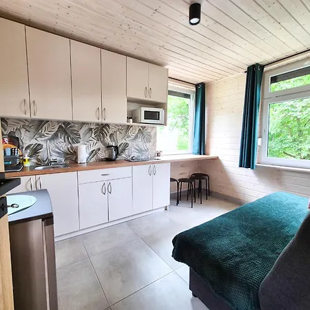 Kolonijna Park 別荘 *